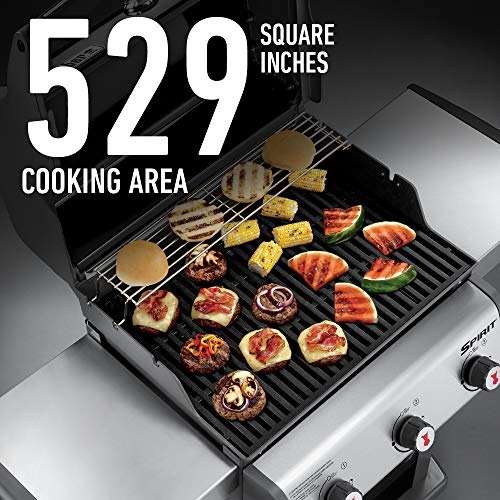 What is the Disadvantage of Weber Spirit E 310