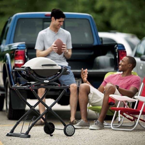 Key Features of the Weber Q 1000 Liquid Propane Grill