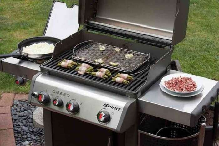 Weber Spirit Grill Reviews