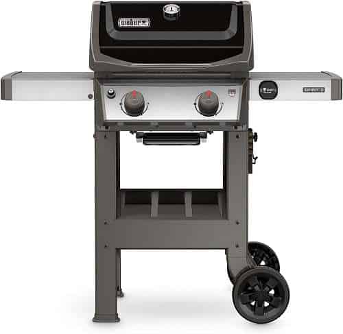 Weber 44010001 2-Burner Propane Grill