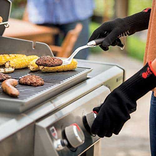 Weber Genesis II E-310 Review -Is it better than Napoleon? Weber Genesis II E-310 Review -Is it better than Napoleon?
