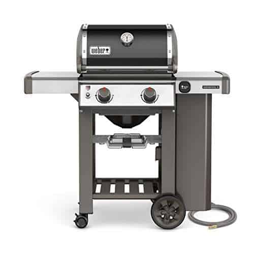 Weber 65010001 Genesis II E-210 Natural Gas Grill