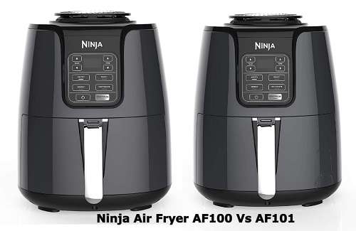 Ninja Air Fryer AF100 Vs AF101