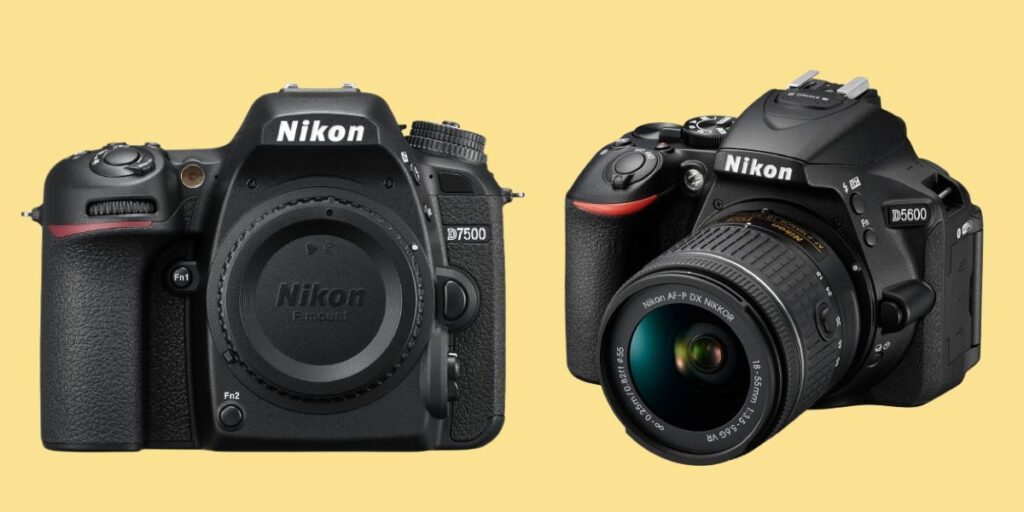 Nikon D5600 vs D7500
